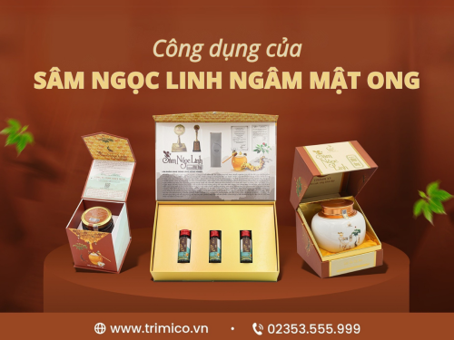 Công dụng của sâm Ngọc Linh ngâm mật ong?